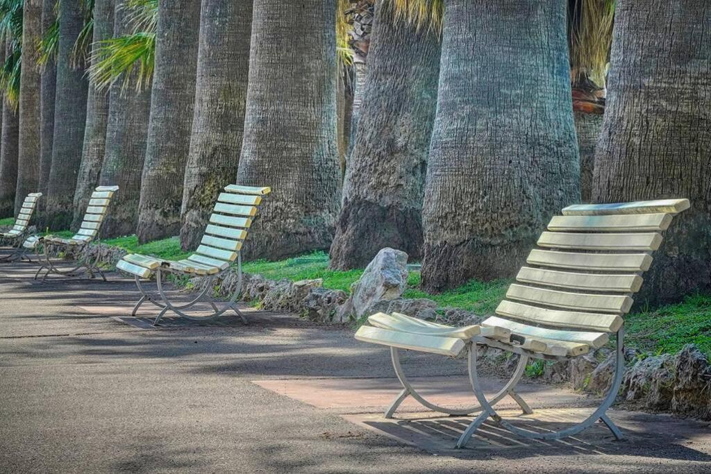 Le Palm - 100m Plage - Croisette - Verrière Côte D’azur Appartement